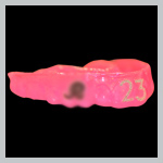 TWG Guard - Custom Mouthguard