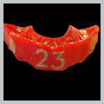 TWG Guard - Custom Mouthguard