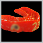 TWG Guard - Custom Mouthguard