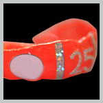 TWG Guard - Custom Mouthguard