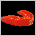 TWG Guard - Custom Mouthguard